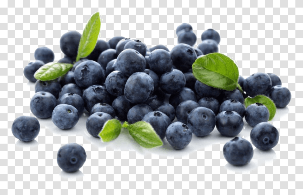 Blueberries Photo Blueberries, Plant, Blueberry, Fruit, Food Transparent Png