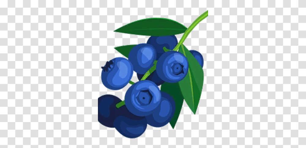 Blueberries, Plant, Blueberry, Fruit, Food Transparent Png