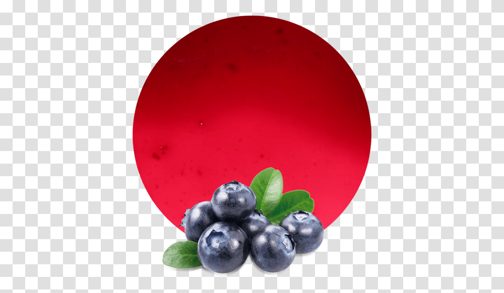 Blueberries, Plant, Blueberry, Fruit, Food Transparent Png