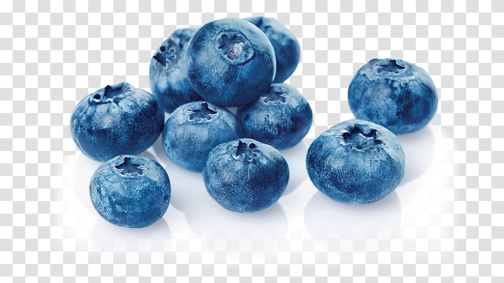 Blueberries, Plant, Blueberry, Fruit, Food Transparent Png