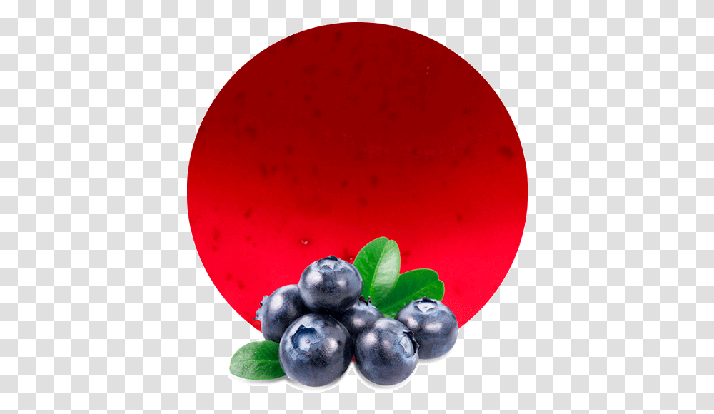 Blueberries Purple, Plant, Blueberry, Fruit, Food Transparent Png