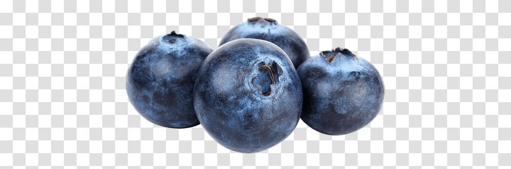 Blueberries Storage Controlled Atmosphere Ultra Low Image Yaban Mersini, Plant, Blueberry, Fruit, Food Transparent Png