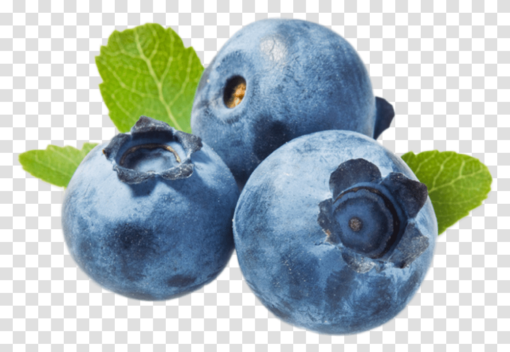 Blueberries V, Blueberry, Fruit, Plant, Food Transparent Png