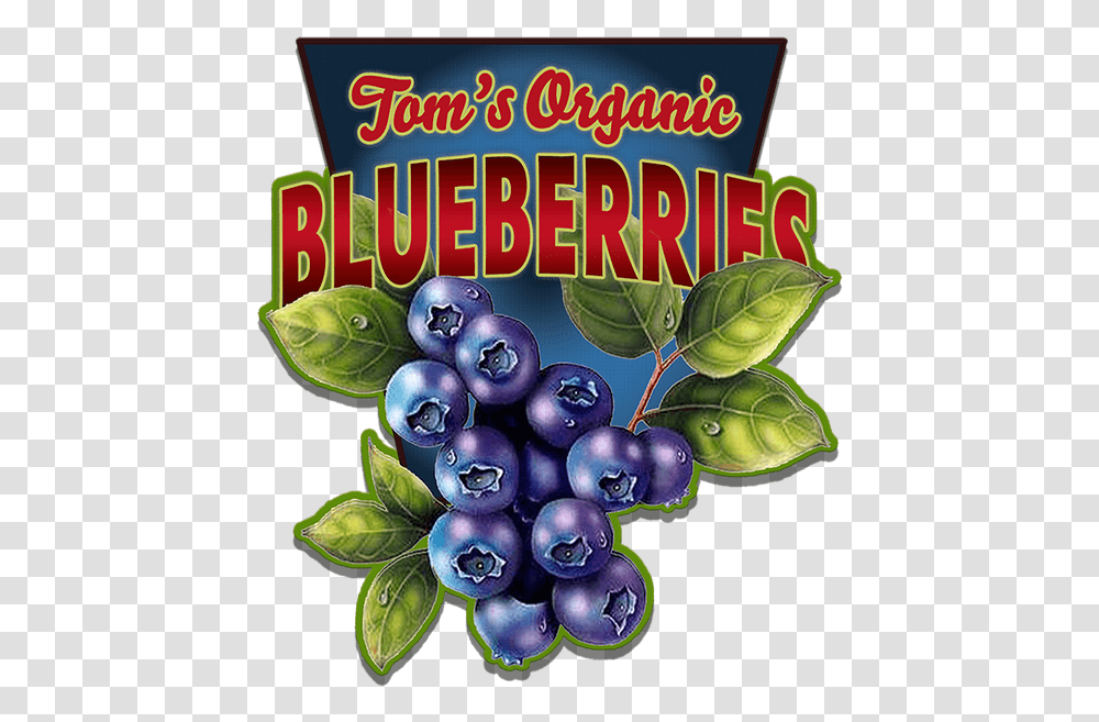 Blueberries Vintage Blueberry Signs, Plant, Fruit, Food, Flyer Transparent Png