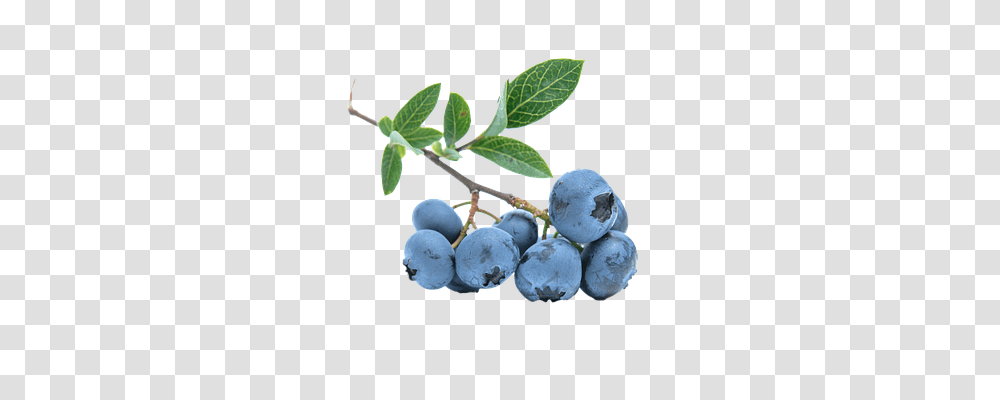 Blueberry Food, Plant, Fruit Transparent Png