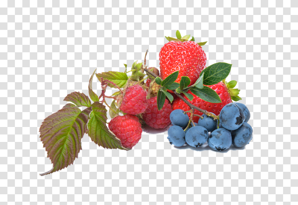 Blueberry 960, Fruit, Plant, Food, Raspberry Transparent Png
