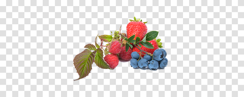 Blueberry Food, Plant, Raspberry, Fruit Transparent Png