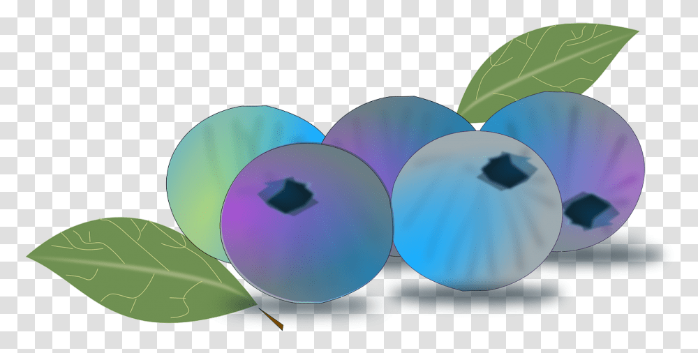 Blueberry Animasi Blueberry, Sphere, Plant Transparent Png