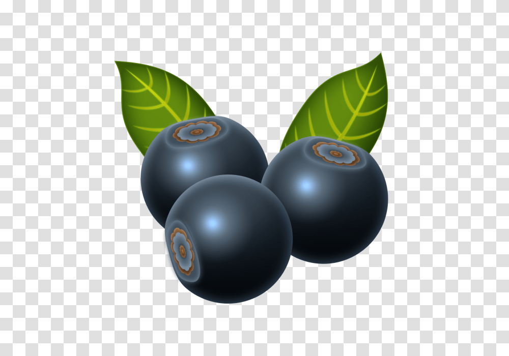 Blueberry Beautiful Vegetables Fruits And For Free, Plant, Food, Plum Transparent Png