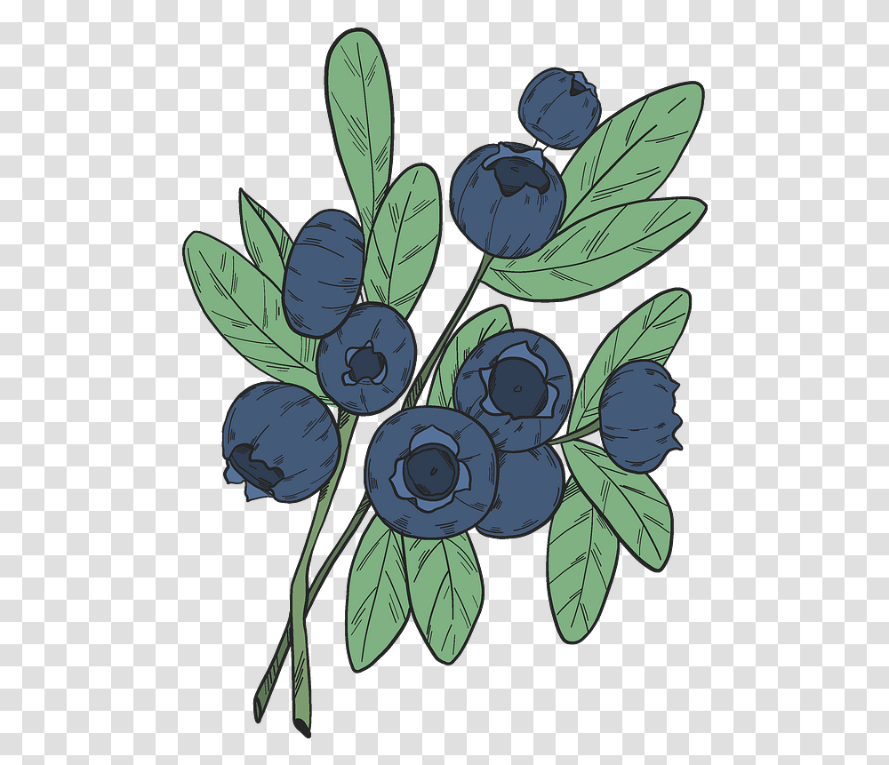 Blueberry Branches Clipart Free Download Clip Art, Plant, Fruit, Food, Grapes Transparent Png