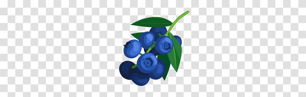 Blueberry Bush Clipart Clip Art Images, Plant, Fruit, Food Transparent Png