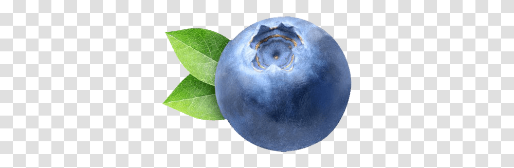 Blueberry Clipart Blueberry, Plant, Fruit, Food Transparent Png
