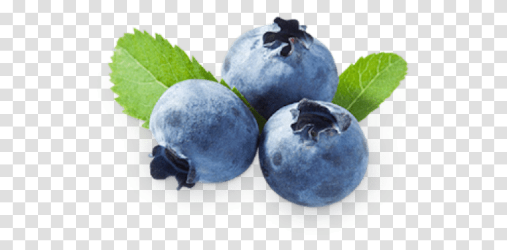 Blueberry Clipart Juniper Berry Blueberry And Strawberry Nutrition, Fruit, Plant, Food Transparent Png