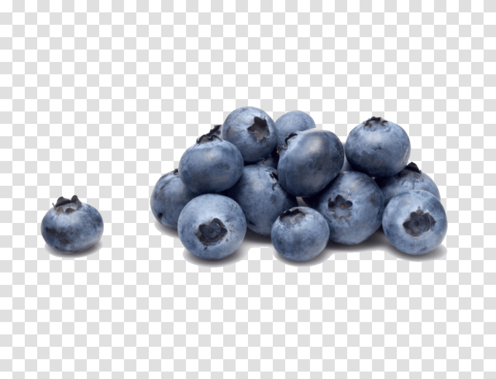 Blueberry Clipart Produccin De Arndanos En El Per 2020, Fruit, Plant, Food, Bird Transparent Png