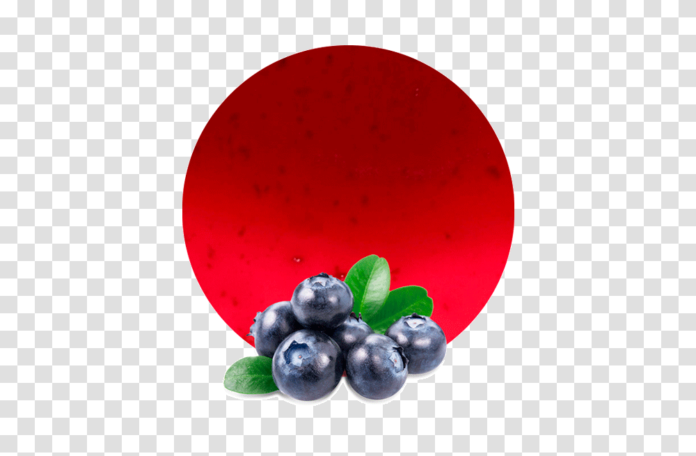 Blueberry Comminuted, Fruit, Plant, Food Transparent Png