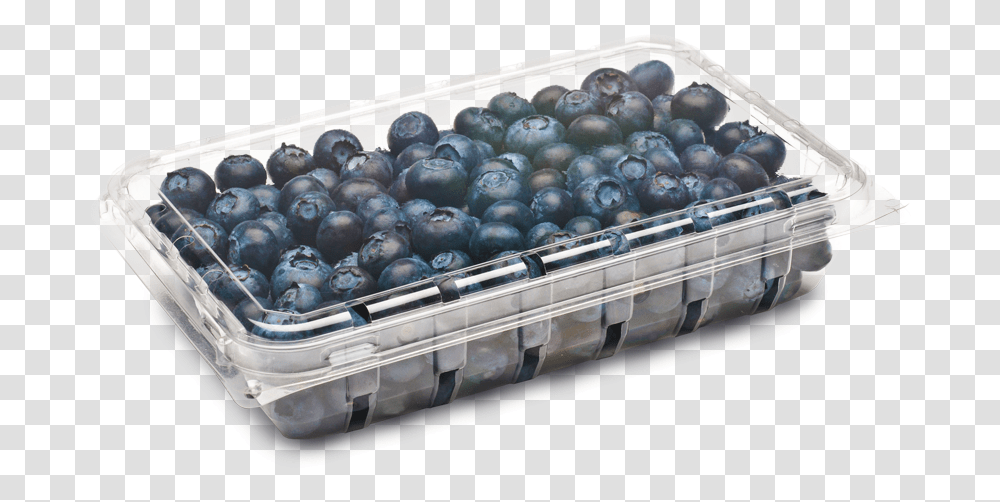 Blueberry Containers, Fruit, Plant, Food Transparent Png