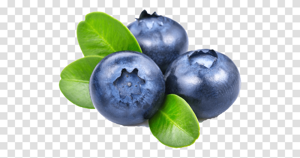 Blueberry File Background Blueberry, Fruit, Plant, Food, Tennis Ball Transparent Png