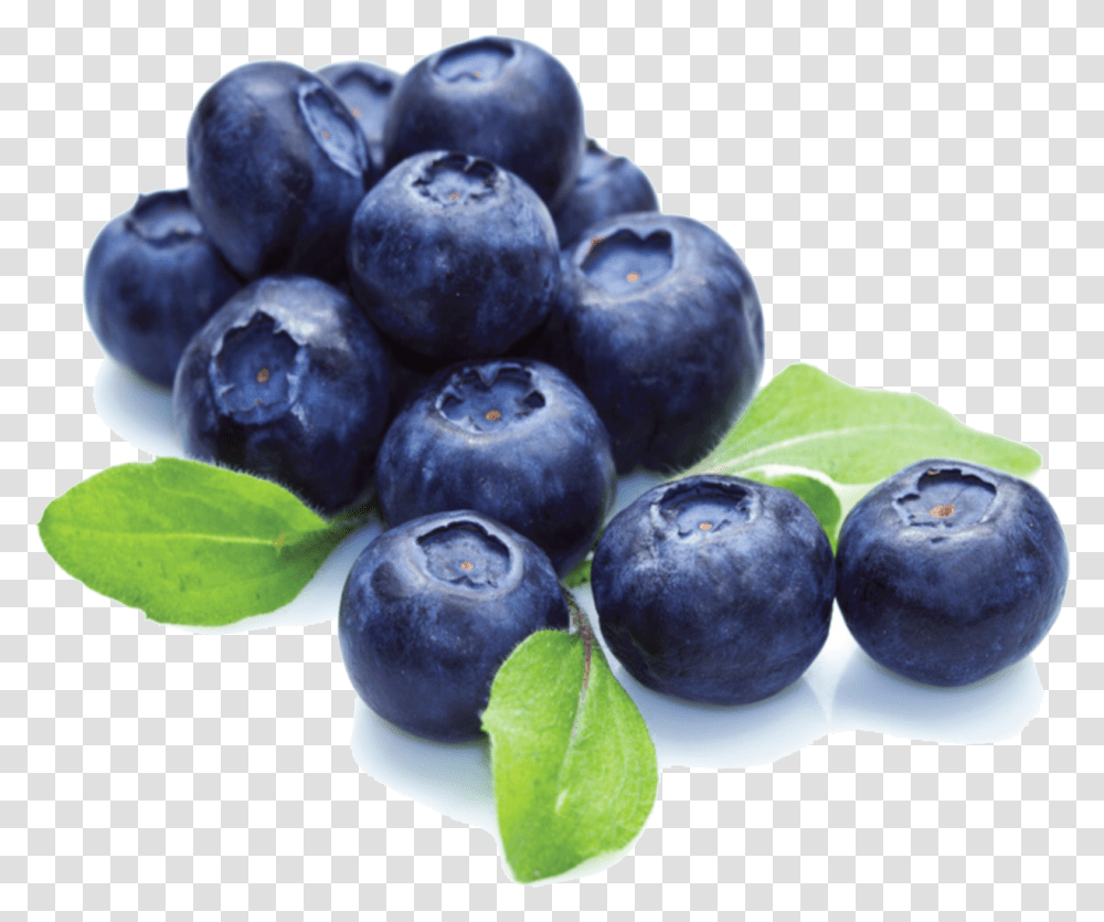 Blueberry File, Plant, Fruit, Food, Bird Transparent Png