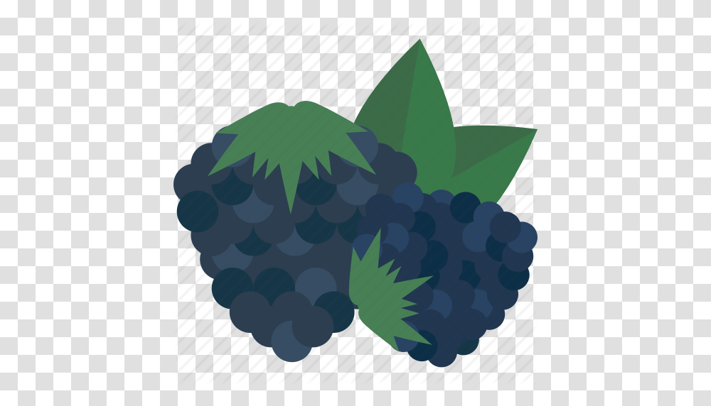 Blueberry Food Fruits Sheet Sweet Icon, Plant, Rug Transparent Png