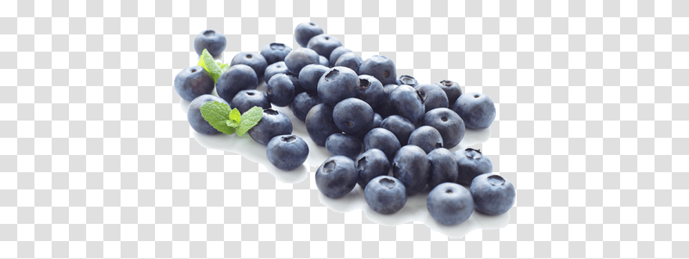 Blueberry Free Blueberries Clipart, Fruit, Plant, Food Transparent Png