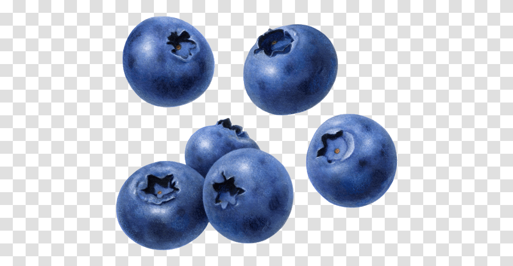 Blueberry Fruit Clipart Background Blueberry, Plant, Food Transparent Png