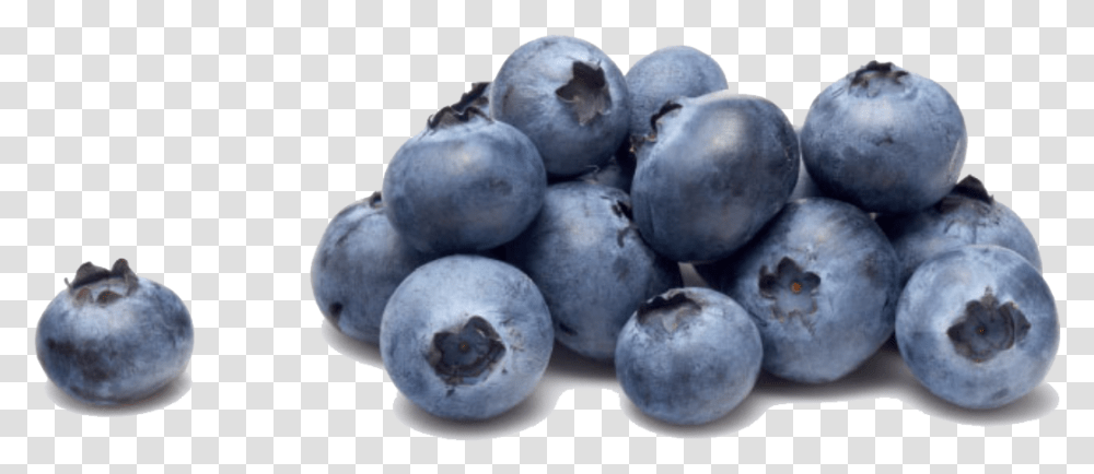 Blueberry, Fruit, Plant, Food Transparent Png