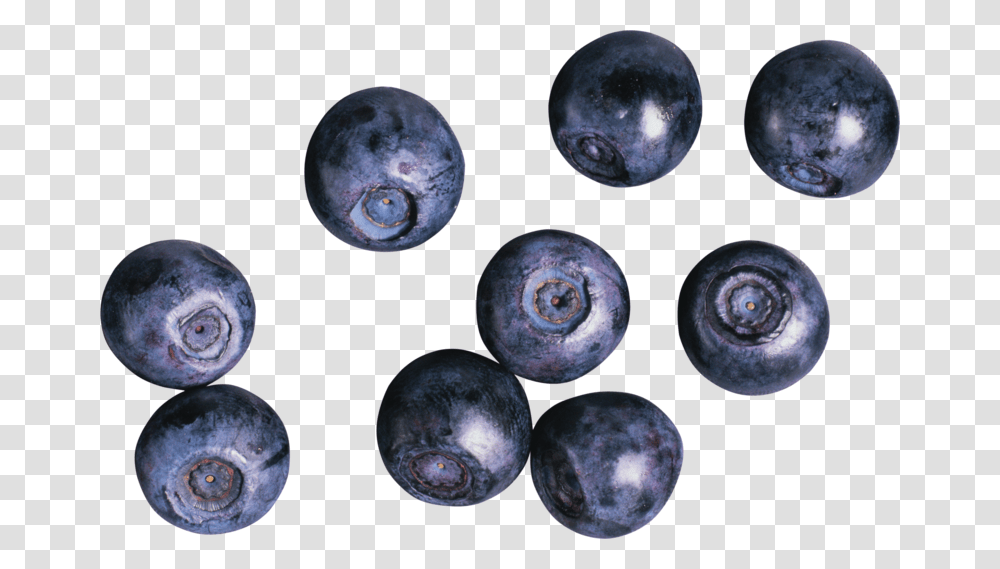 Blueberry, Fruit, Plant, Food Transparent Png