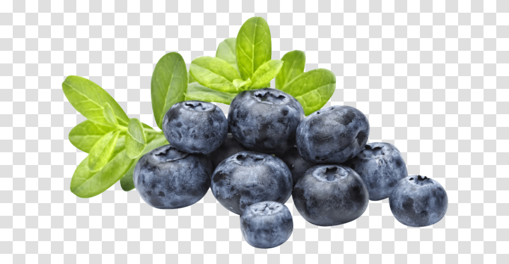 Blueberry Image Blubarry, Plant, Fruit, Food, Fungus Transparent Png