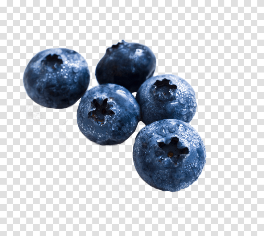 Blueberry Image Blueberry, Fruit, Plant, Food, Fungus Transparent Png