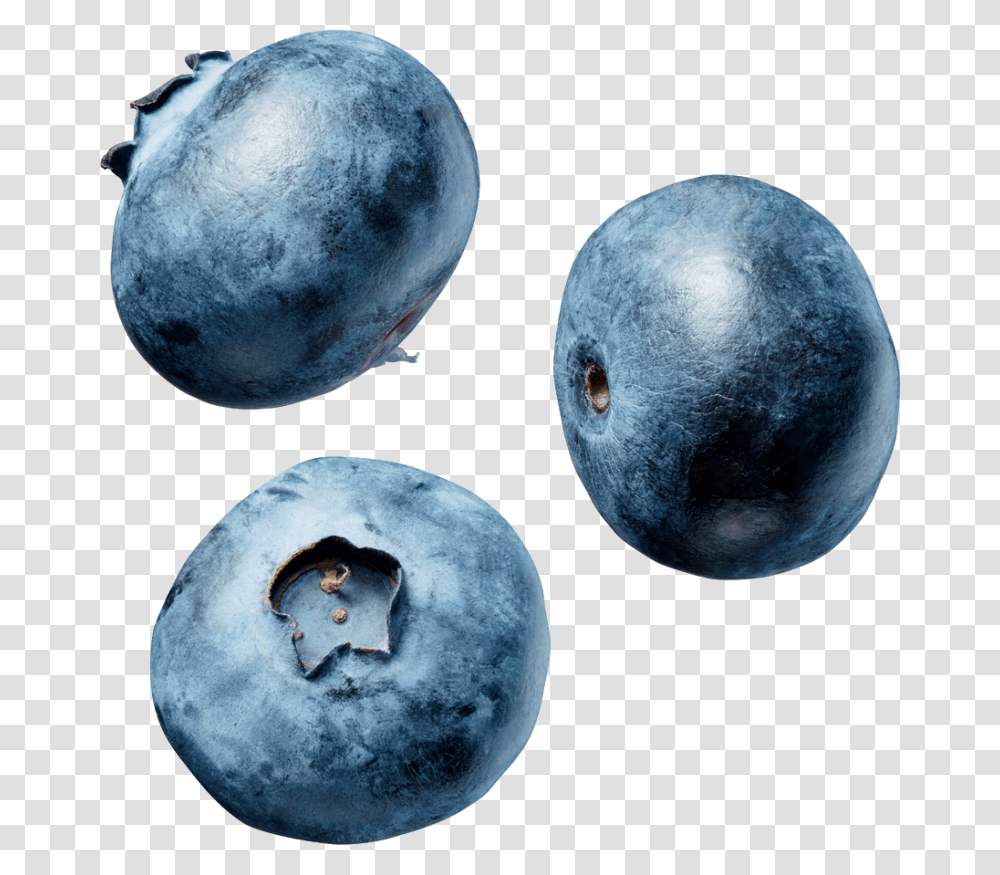 Blueberry Image, Fruit, Plant, Food, Photography Transparent Png