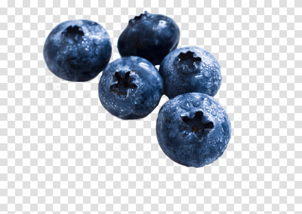Blueberry Image Real Fruit Pictures To Print, Plant, Food, Fungus Transparent Png