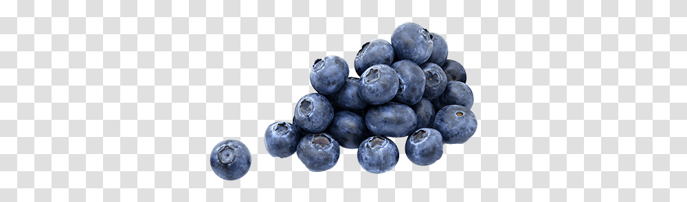 Blueberry Images Blueberries, Plant, Fruit, Food, Screw Transparent Png