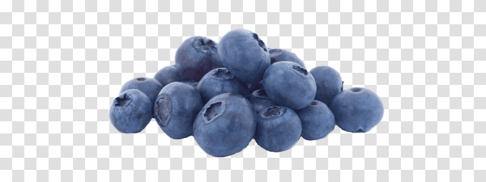 Blueberry Images Blueberry, Plant, Fruit, Food Transparent Png