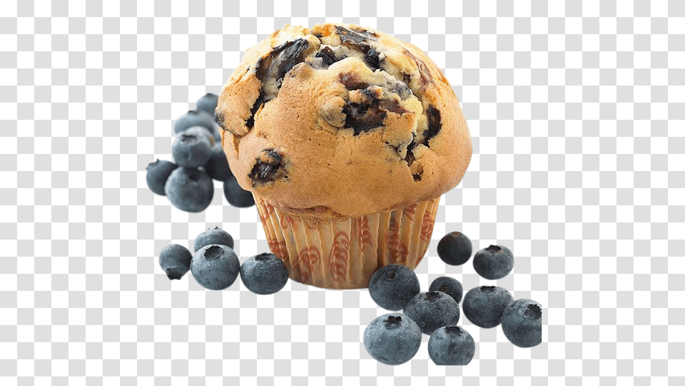 Blueberry Muffin, Dessert, Food, Plant, Fungus Transparent Png