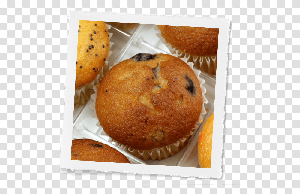Blueberry Muffins Muffin, Bread, Food, Dessert, Sweets Transparent Png
