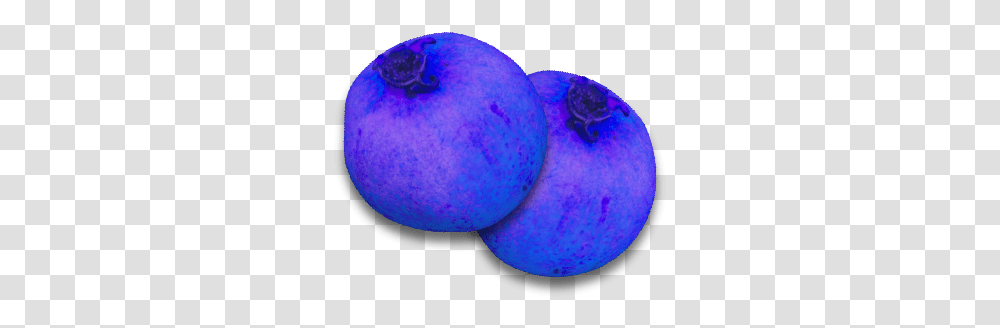 Blueberry Official Journey Of Life Wiki Blueberry, Plant, Fruit, Food, Produce Transparent Png