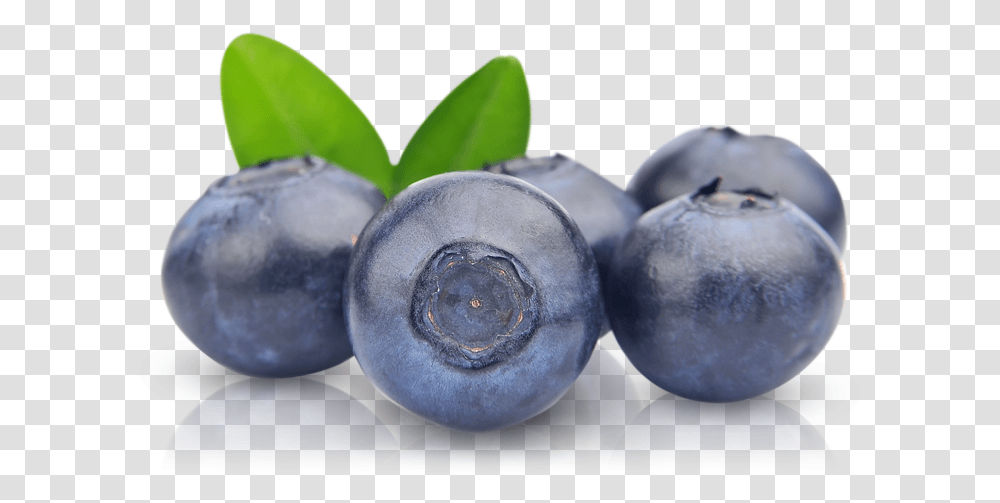 Blueberry Pic Background Blueberry, Fruit, Plant, Food Transparent Png