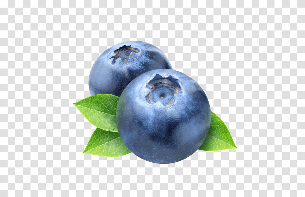 Blueberry Picture Blueberry, Fruit, Plant, Food, Bird Transparent Png