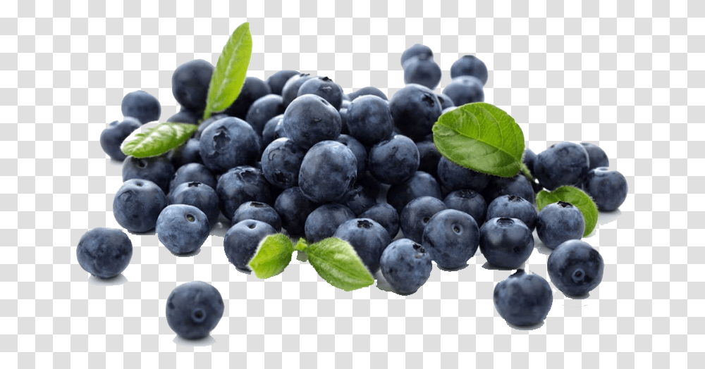 Blueberry, Plant, Fruit, Food, Grapes Transparent Png