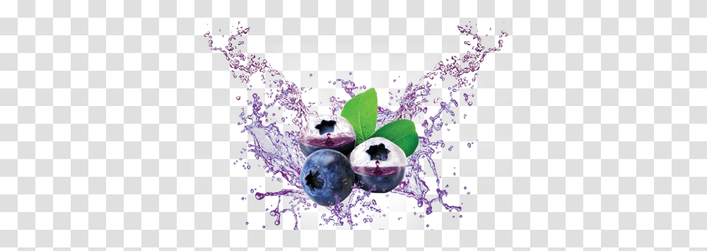Blueberry, Plant, Fruit, Food, Purple Transparent Png
