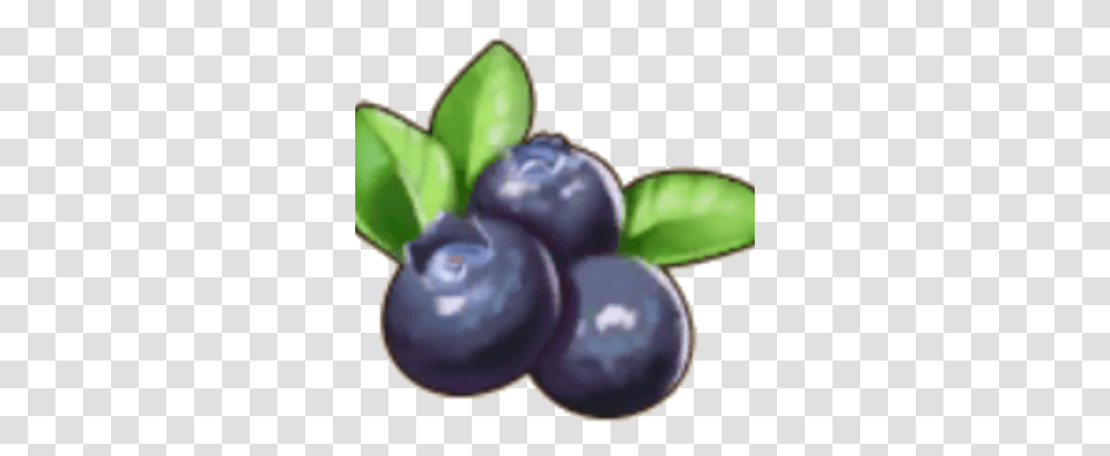 Blueberry Pocket Pioneers Wiki Fandom Superfood, Plant, Fruit, Plum, Fungus Transparent Png