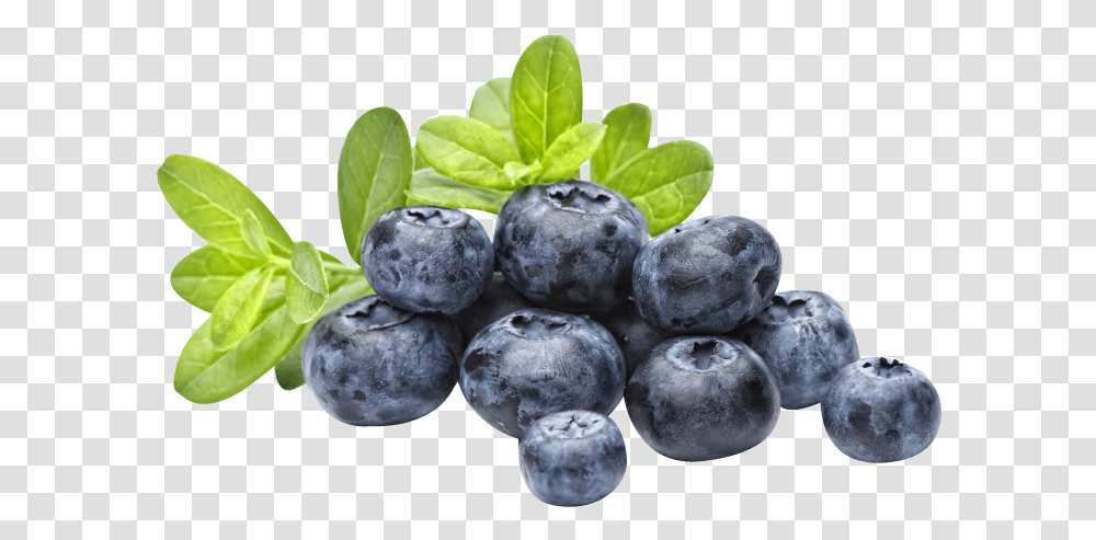 Blueberry Popping Boba, Plant, Fruit, Food, Fungus Transparent Png