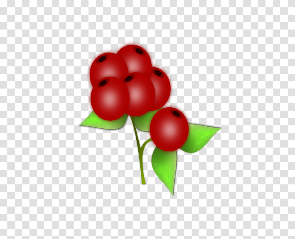 Blueberry Raspberry Fruit Strawberry, Plant, Food, Toy, Cherry Transparent Png