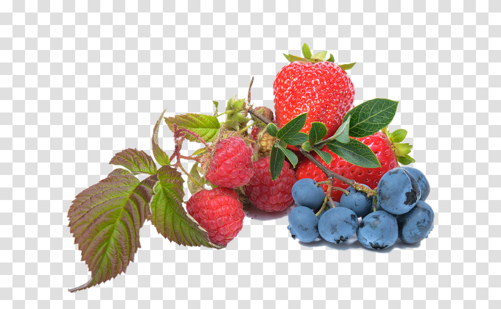Blueberry Raspberry Strawberry Fruit Blueberry And Strawberry, Plant, Food, Leaf Transparent Png