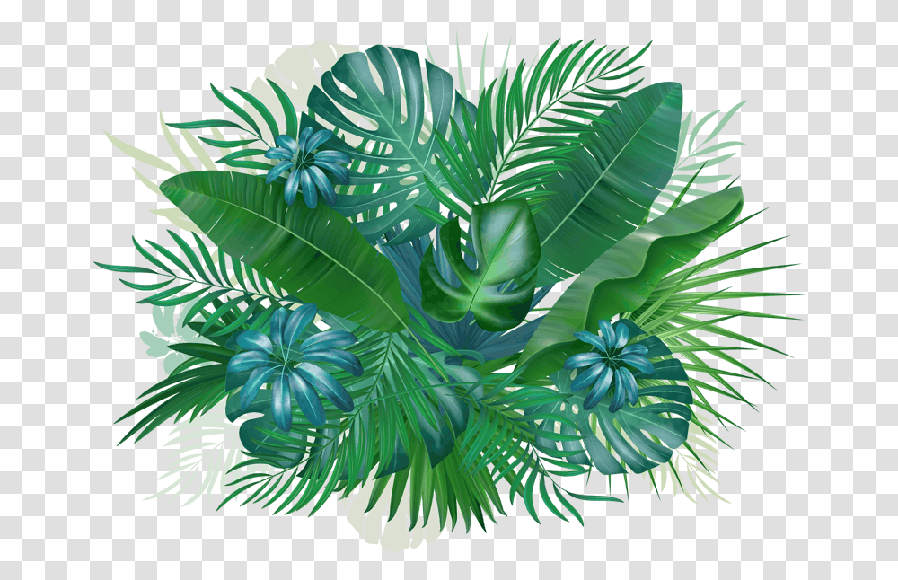 Blueberry Sig Background 2018 No Bkg Events Sabal Minor, Vegetation, Plant, Rainforest, Land Transparent Png