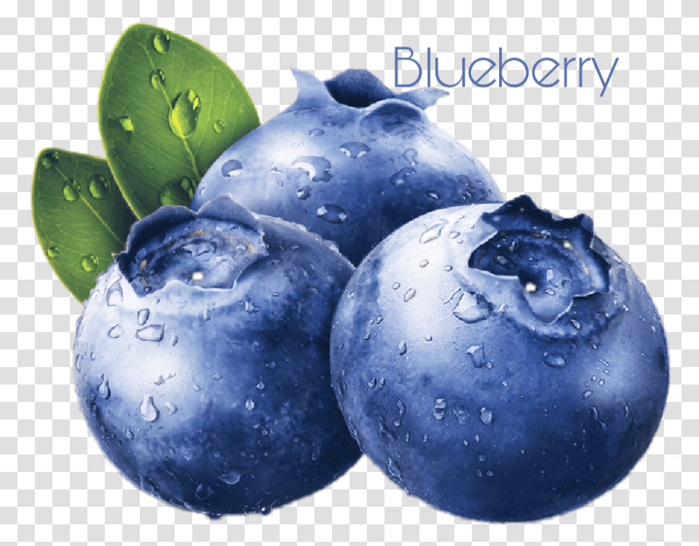 Blueberry Sticker Blueberries By Valerie Blueberries, Plant, Fruit, Food, Fungus Transparent Png