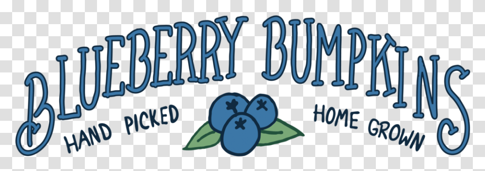 Blueberry, Plant, Fruit, Food Transparent Png