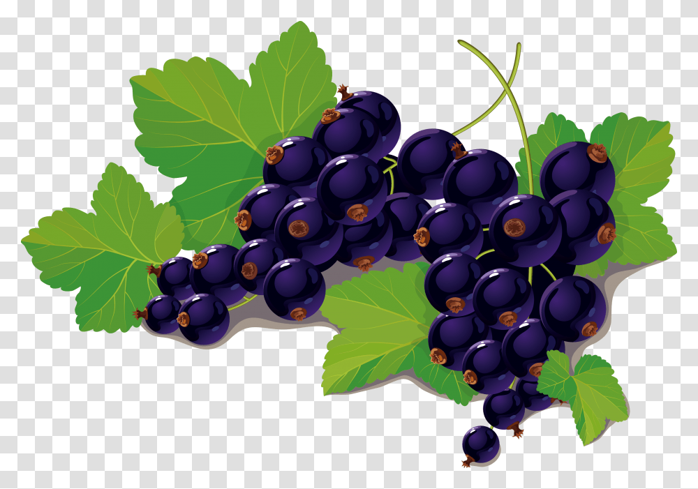 Blueberry Vector Black Currant Fruit Leaf, Plant, Grapes, Food, Vine Transparent Png