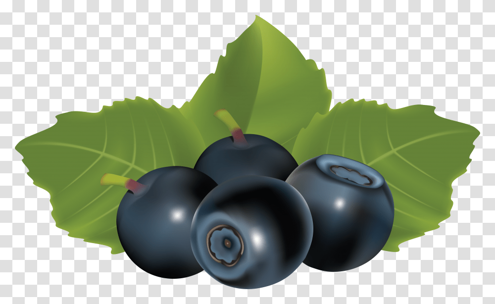 Blueberry Vector, Plant, Fruit, Food, Grapes Transparent Png