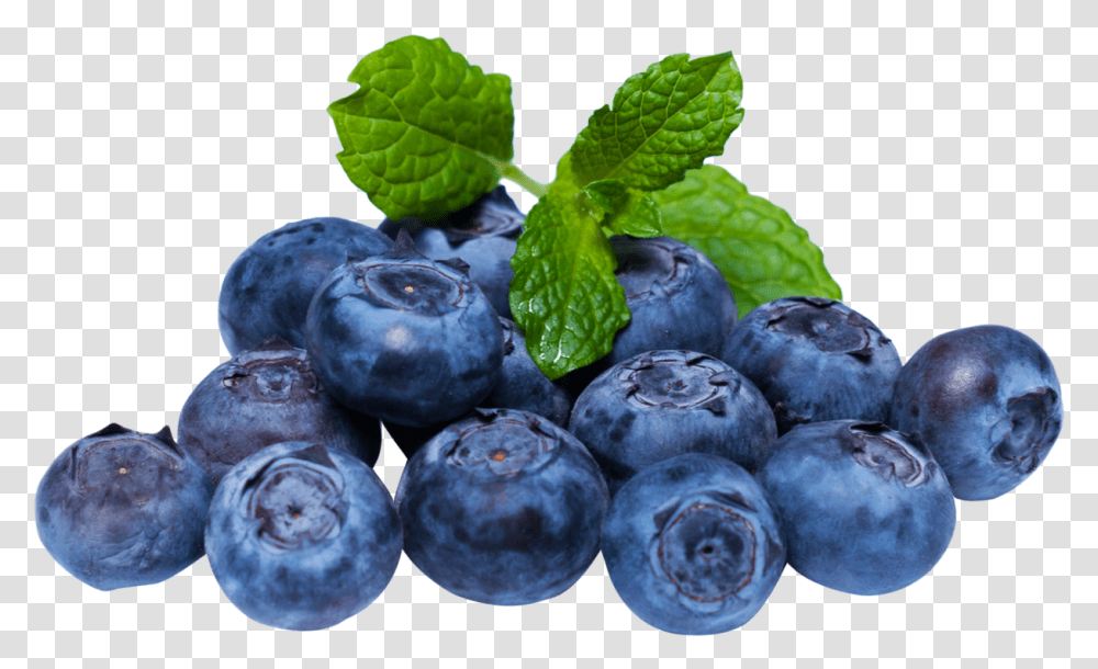 Blueberry With Leaf Image Blueberry, Plant, Fruit, Food, Bird Transparent Png